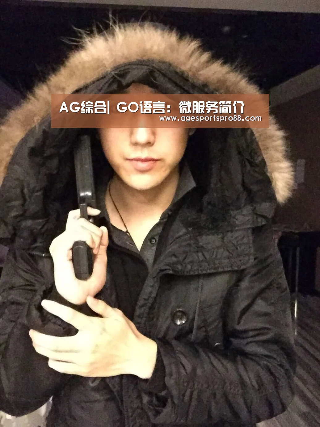 AG综合|
GO语言：微服务简介