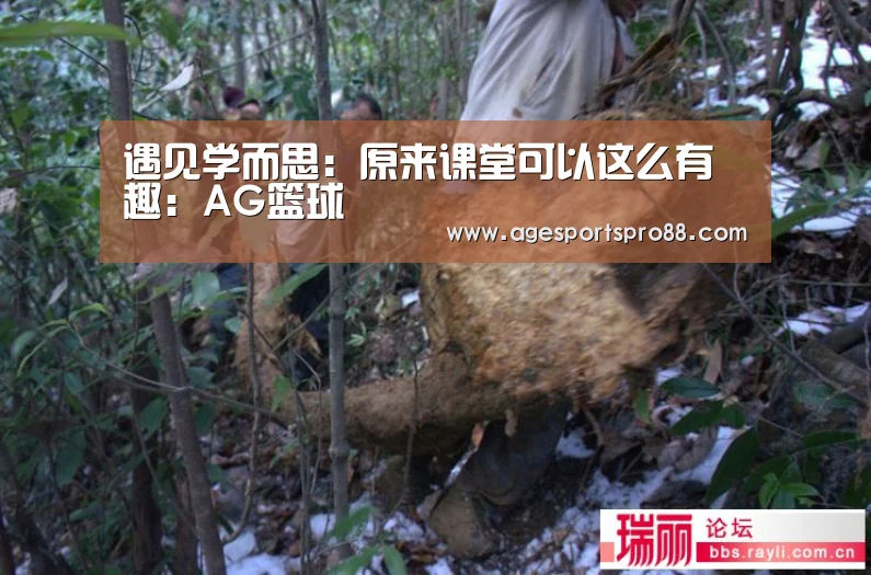 遇见学而思:原来课堂可以这么有趣:AG篮球(图2) AG真人
