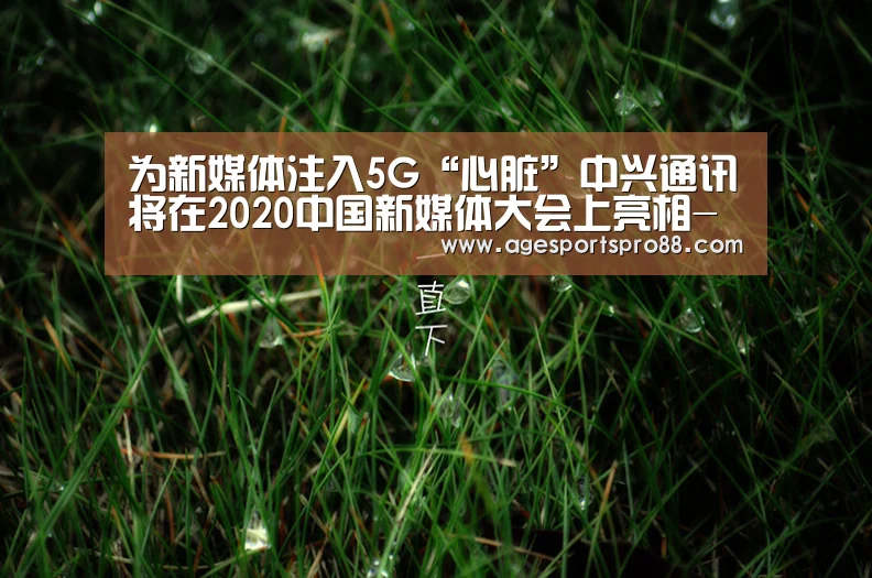 为新媒体注入5G“心脏”中兴通讯将在2020中国新媒体大会上亮相-AG入口